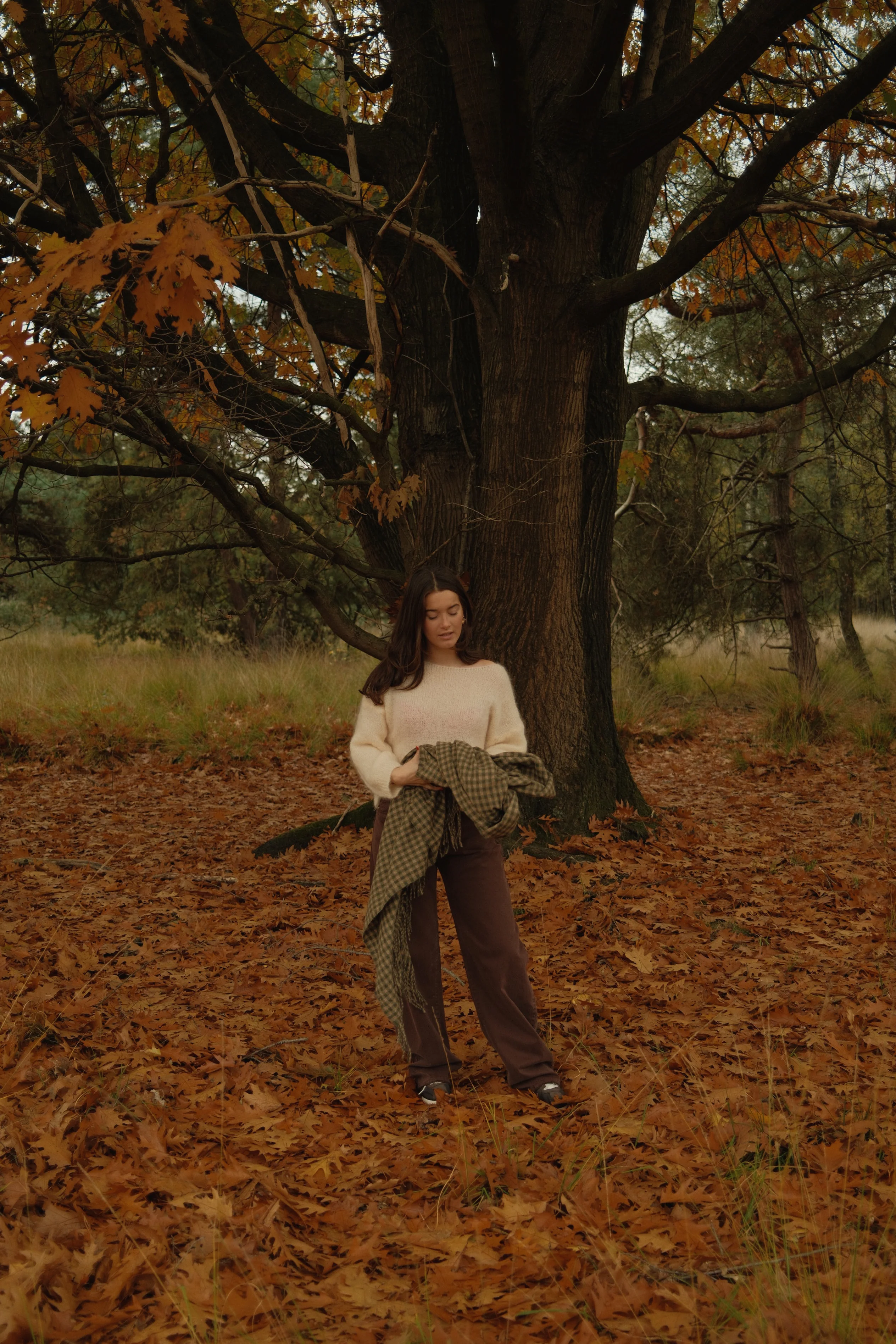 SLOW MORNING MOHAIR KNIT BEIGE - Image 6