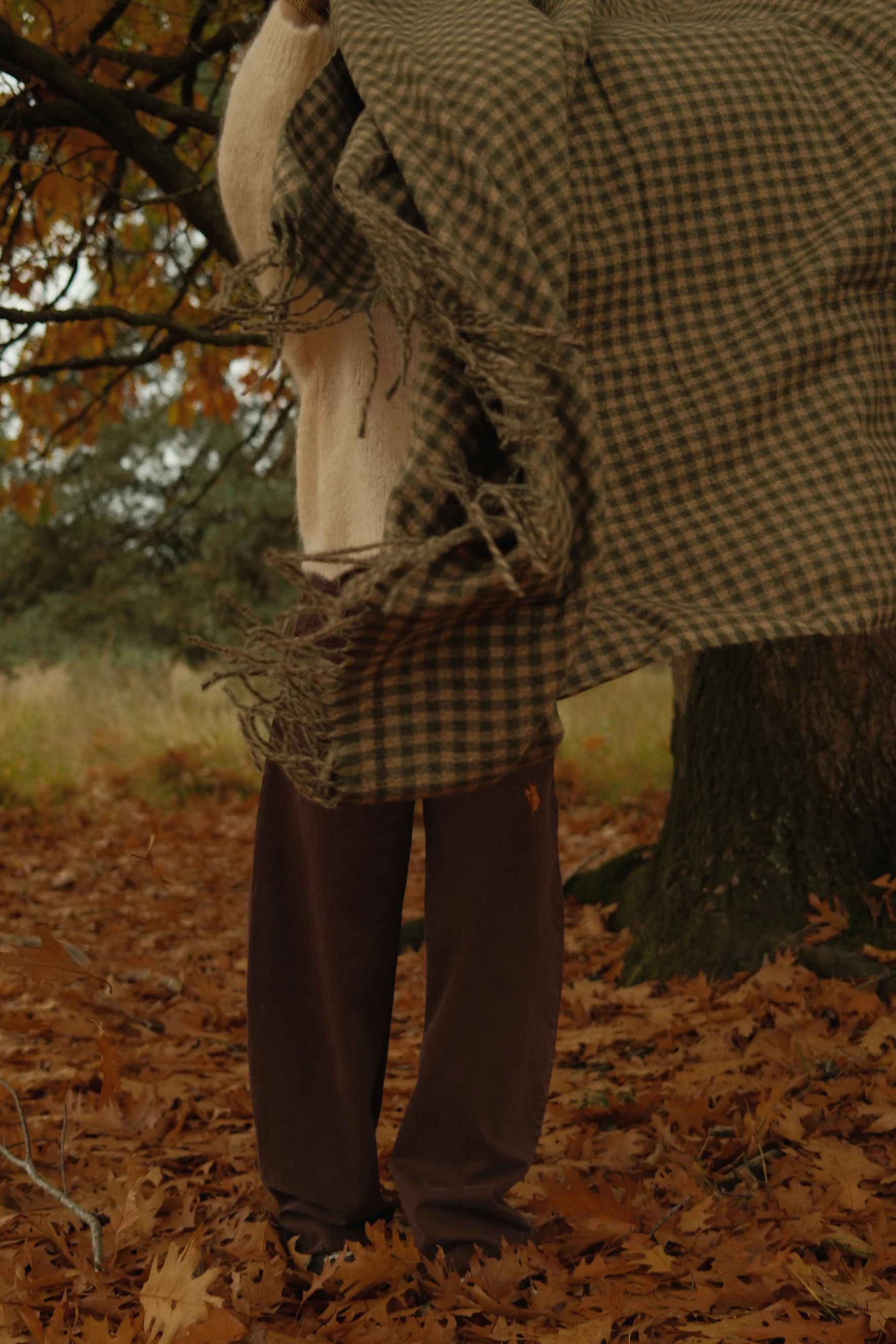 SLOW MORNING MOHAIR KNIT BEIGE - Image 8